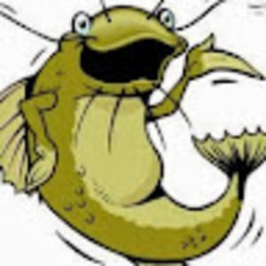 Meet your Posher, Terri